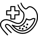 Palaiko virškinimo sistemos veiklą