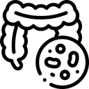 Padeda palaikyti žarnyno mikrofloros pusiausvyrą